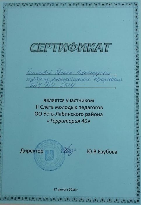 Сертификат участника слета
